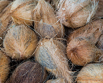 UBA-Dry-Coconut-P1.jpg